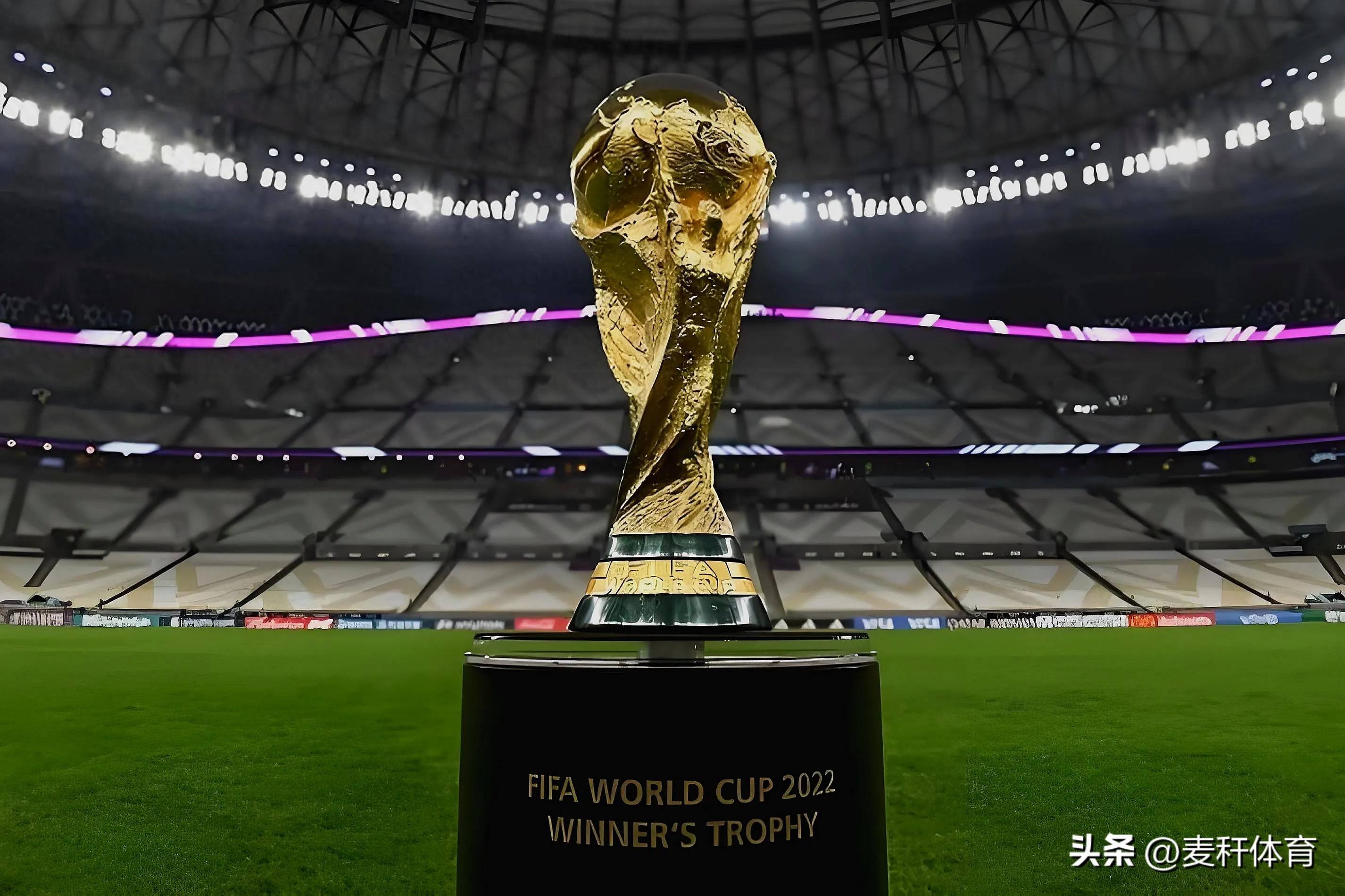 未来的签位 未来的签位