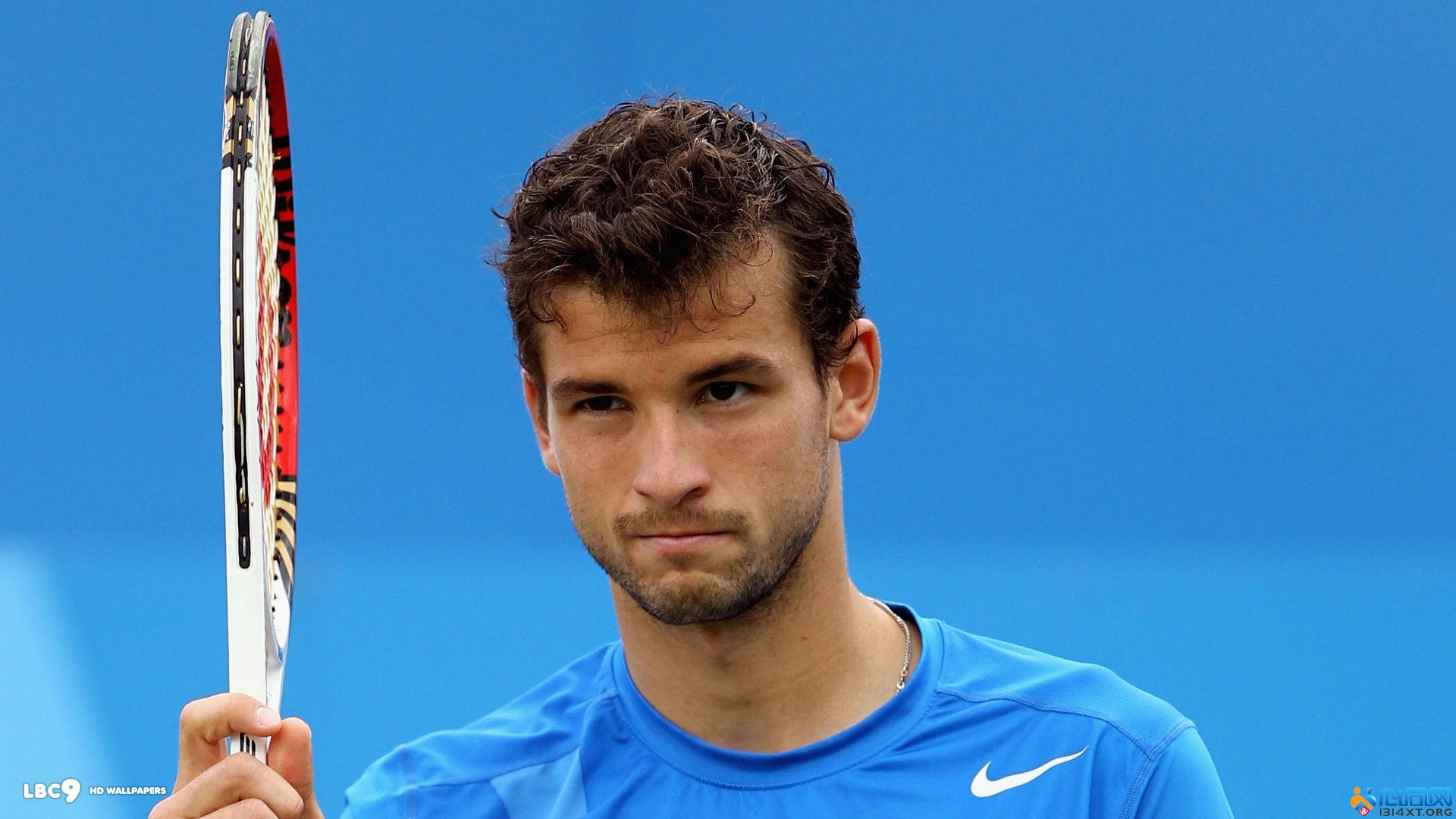 关键的机会 关键的机会